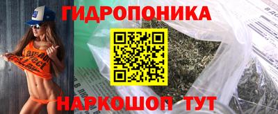 крисы Краснодар