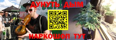 крисы Краснодар