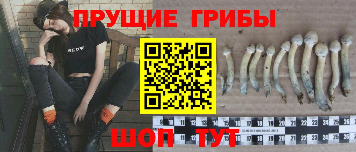 Зерноград  Галлюциногенные грибы GOLDEN TEACHER  Вход с VPN  Псилоцибиновые грибы ЛСД 